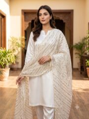 Premium Shamoz Silk Suit with Fancy Organza Dupatta – Wedding Collection | Unstitched 2 Piece - Image 3