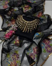 Premium Organza 2 Piece Luxury Dress for Women - Image 3